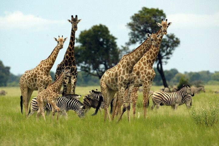 5-Day Luxury Safari All Inclusive Safari
